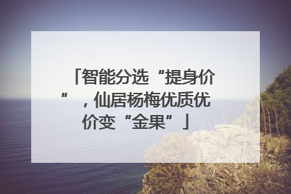 智能分选“提身价”，仙居杨梅优质优价变“金果”