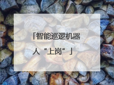 智能巡逻机器人“上岗”