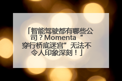 智能驾驶都有哪些公司？Momenta“穿行桥底迷宫”无法不令人印象深刻！