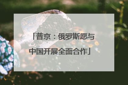 普京：俄罗斯愿与中国开展全面合作