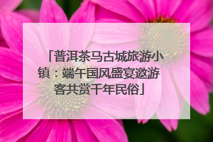 普洱茶马古城旅游小镇：端午国风盛宴邀游客共赏千年民俗
