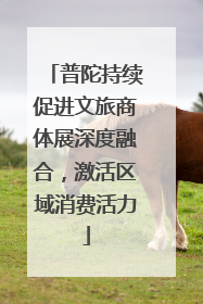 普陀持续促进文旅商体展深度融合，激活区域消费活力