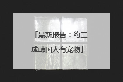 最新报告：约三成韩国人有宠物