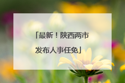 最新！陕西两市发布人事任免