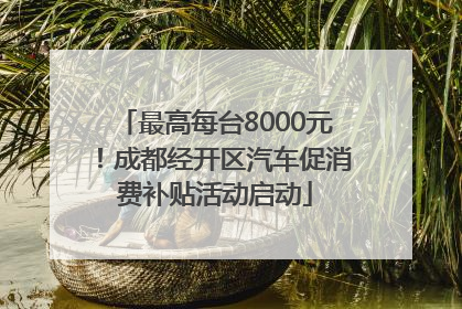 最高每台8000元！成都经开区汽车促消费补贴活动启动