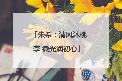 朱希：清风沐桃李 微光润初心