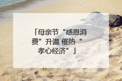 母亲节“感恩消费”升温 催热“孝心经济”