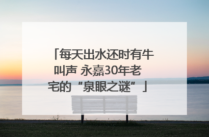 每天出水还时有牛叫声 永嘉30年老宅的“泉眼之谜”
