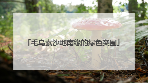 毛乌素沙地南缘的绿色突围