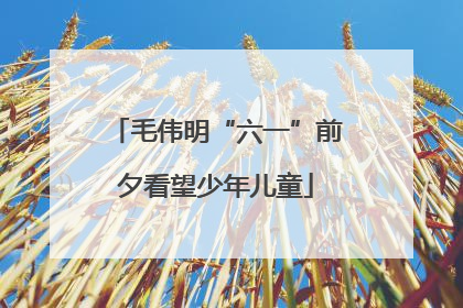 毛伟明“六一”前夕看望少年儿童