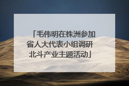 毛伟明在株洲参加省人大代表小组调研北斗产业主题活动