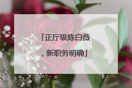 正厅级陈白薇，新职务明确
