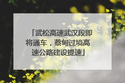 武松高速武汉段即将通车，蔡甸过境高速公路建设提速