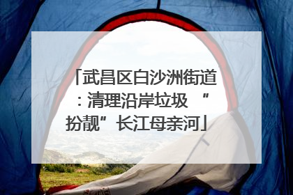 武昌区白沙洲街道：清理沿岸垃圾 “扮靓”长江母亲河