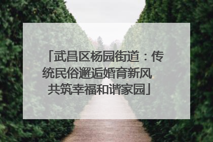武昌区杨园街道：传统民俗邂逅婚育新风 共筑幸福和谐家园