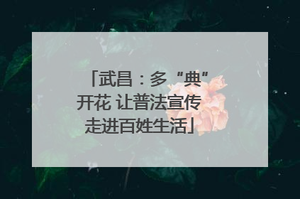 武昌：多“典”开花 让普法宣传走进百姓生活