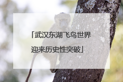 武汉东湖飞鸟世界迎来历史性突破