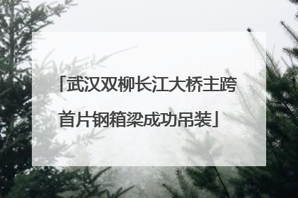 武汉双柳长江大桥主跨首片钢箱梁成功吊装