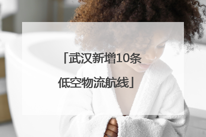 武汉新增10条低空物流航线