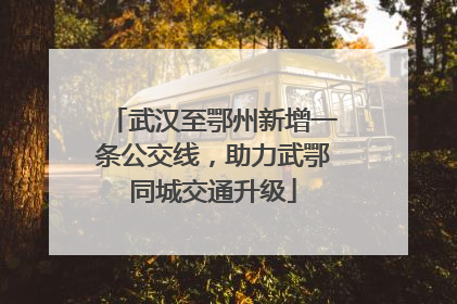 武汉至鄂州新增一条公交线，助力武鄂同城交通升级
