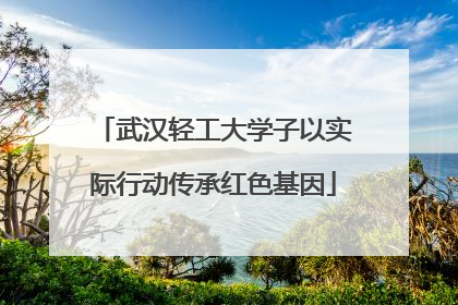 武汉轻工大学子以实际行动传承红色基因