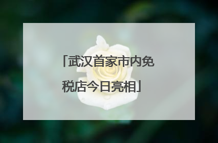武汉首家市内免税店今日亮相