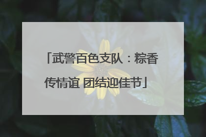 武警百色支队：粽香传情谊 团结迎佳节