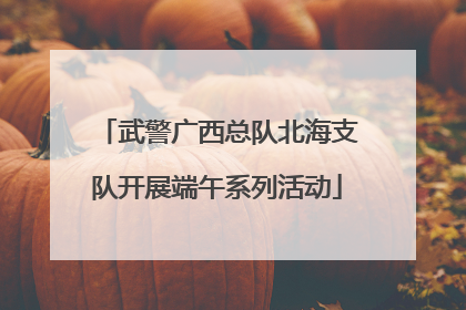 武警广西总队北海支队开展端午系列活动