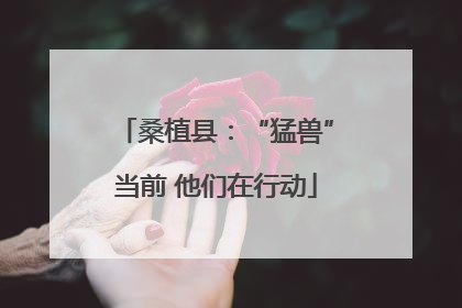 桑植县：“猛兽”当前 他们在行动