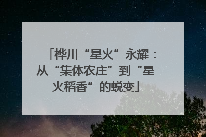 桦川“星火”永耀：从“集体农庄”到“星火稻香”的蜕变