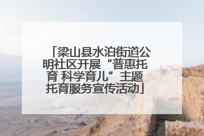 梁山县水泊街道公明社区开展“普惠托育 科学育儿”主题托育服务宣传活动