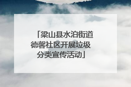 梁山县水泊街道德馨社区开展垃圾分类宣传活动