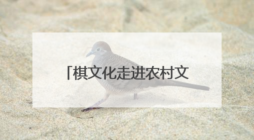 棋文化走进农村文化礼堂，象棋特色示范村联赛绍兴开赛
