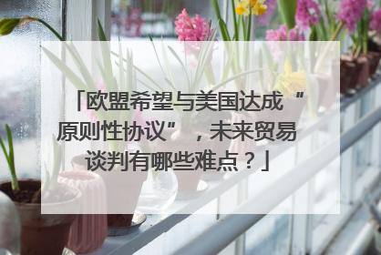 欧盟希望与美国达成“原则性协议”，未来贸易谈判有哪些难点？