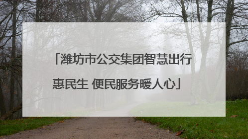 潍坊市公交集团智慧出行惠民生 便民服务暖人心