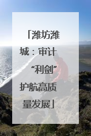 潍坊潍城：审计“利剑”护航高质量发展