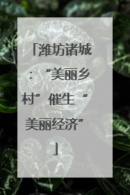 潍坊诸城：“美丽乡村”催生“美丽经济”