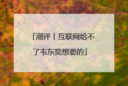 潮评丨互联网给不了韦东奕想要的