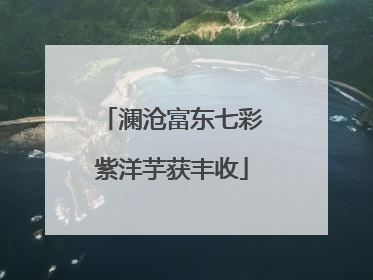 澜沧富东七彩紫洋芋获丰收