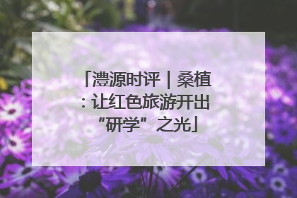 澧源时评｜桑植：让红色旅游开出“研学”之光