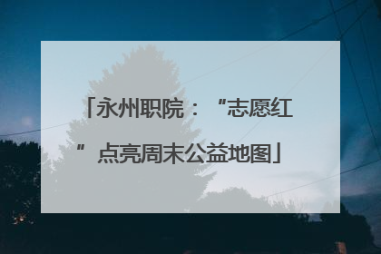 永州职院：“志愿红”点亮周末公益地图