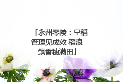 永州零陵：早稻管理见成效 稻浪飘香穗满田