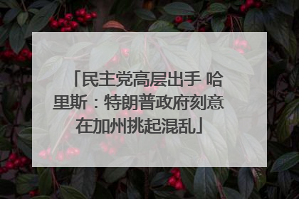 民主党高层出手 哈里斯：特朗普政府刻意在加州挑起混乱
