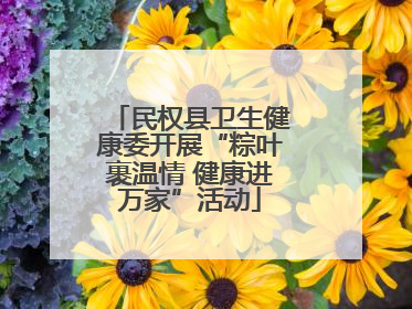 民权县卫生健康委开展“粽叶裹温情 健康进万家”活动
