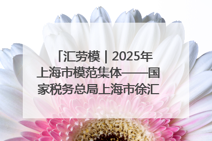 汇劳模｜2025年上海市模范集体——国家税务总局上海市徐汇区税务局第一税务所