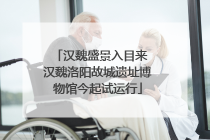 汉魏盛景入目来 汉魏洛阳故城遗址博物馆今起试运行