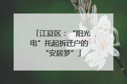 江夏区：“阳光电”托起拆迁户的“安居梦”
