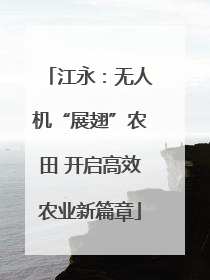 江永：无人机“展翅”农田 开启高效农业新篇章