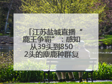 江苏盐城直播“鹿王争霸”：感知从39头到8502头的麋鹿种群复兴“密码”