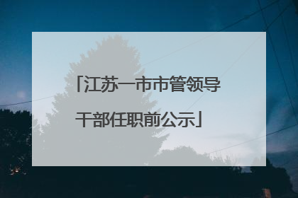 江苏一市市管领导干部任职前公示